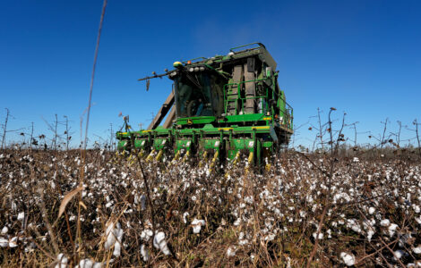 Georgia farmers will get $531M in Hurricane Helene aid, but the deal's not done yet